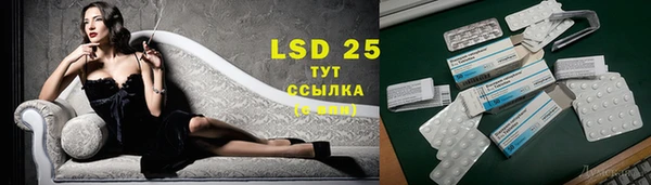 PSILOCYBIN Алексин