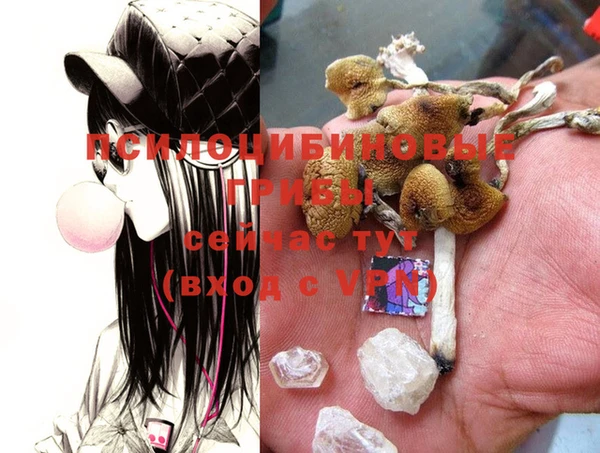 PSILOCYBIN Алексин