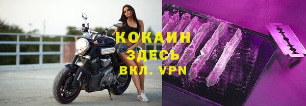 индика Краснослободск